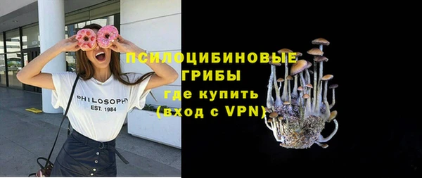 твердый Богородицк