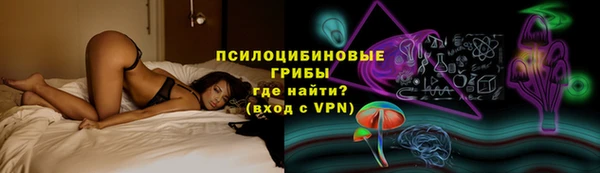 твердый Богородицк