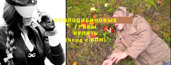 твердый Богородицк