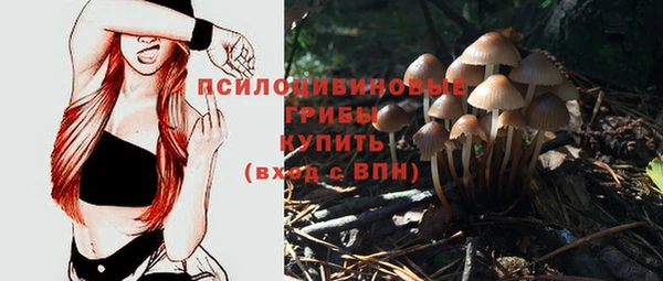 шишки Усинск