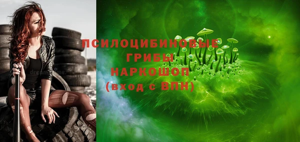 твердый Богородицк
