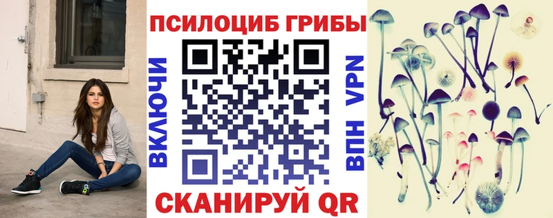 Галлюциногенные грибы Psilocybine cubensis Константиновск